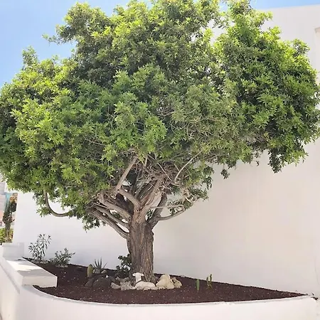 Lucia Garden Con Piscina Climatizada דירה Playa Feñabe