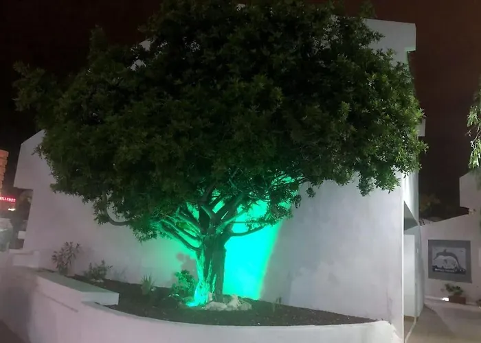 Lucía Garden Con Piscina Climatizada Apartamento