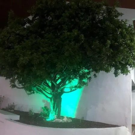 Lucia Garden Con Piscina Climatizada Apartment