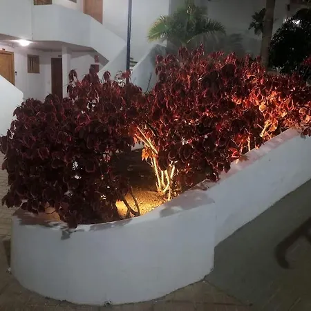 Lucia Garden Con Piscina Climatizada * Playa Fanabe