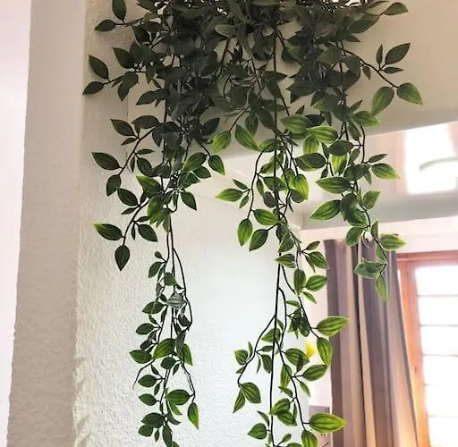 Lucia Garden Con Piscina Climatizada *