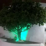 Lucia Garden Con Piscina Climatizada Apartmán