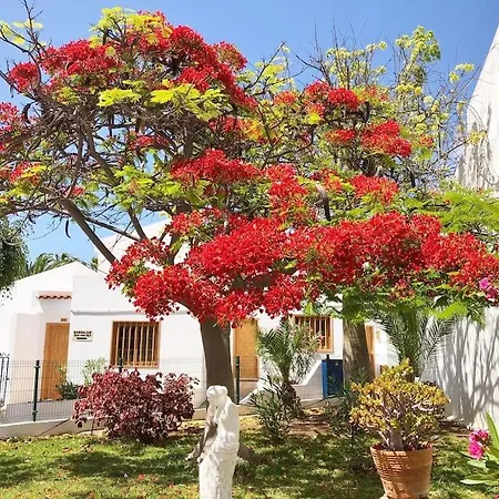 Lucia Garden Con Piscina Climatizada Playa Feñabe
