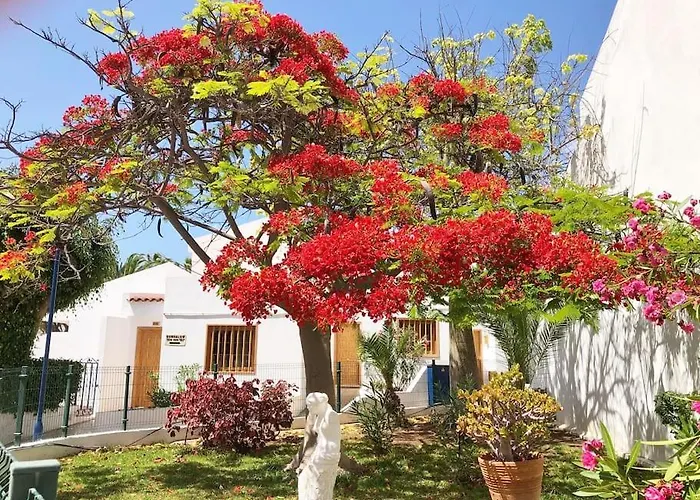 Lucia Garden Con Piscina Climatizada Playa Feñabe