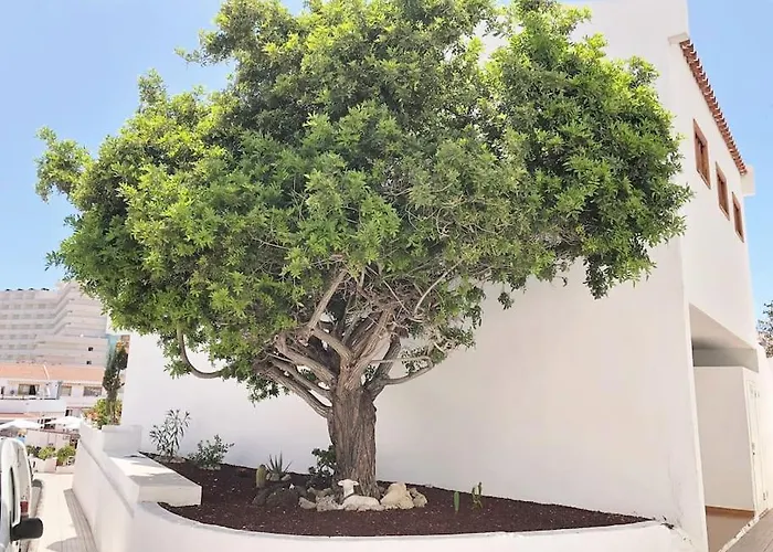 Lucia Garden Con Piscina Climatizada Appartamento Playa Feñabe